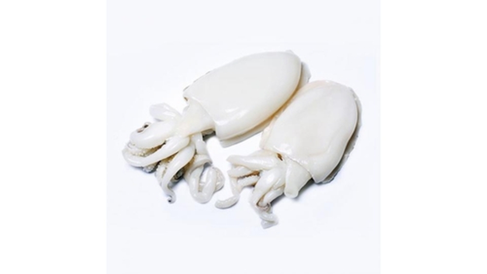 SEPPIA OCEANICA DECONGELATA